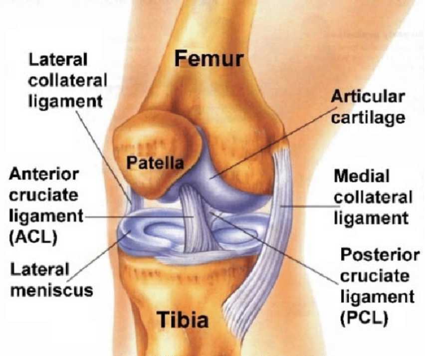 Combined knee ligament injuries
