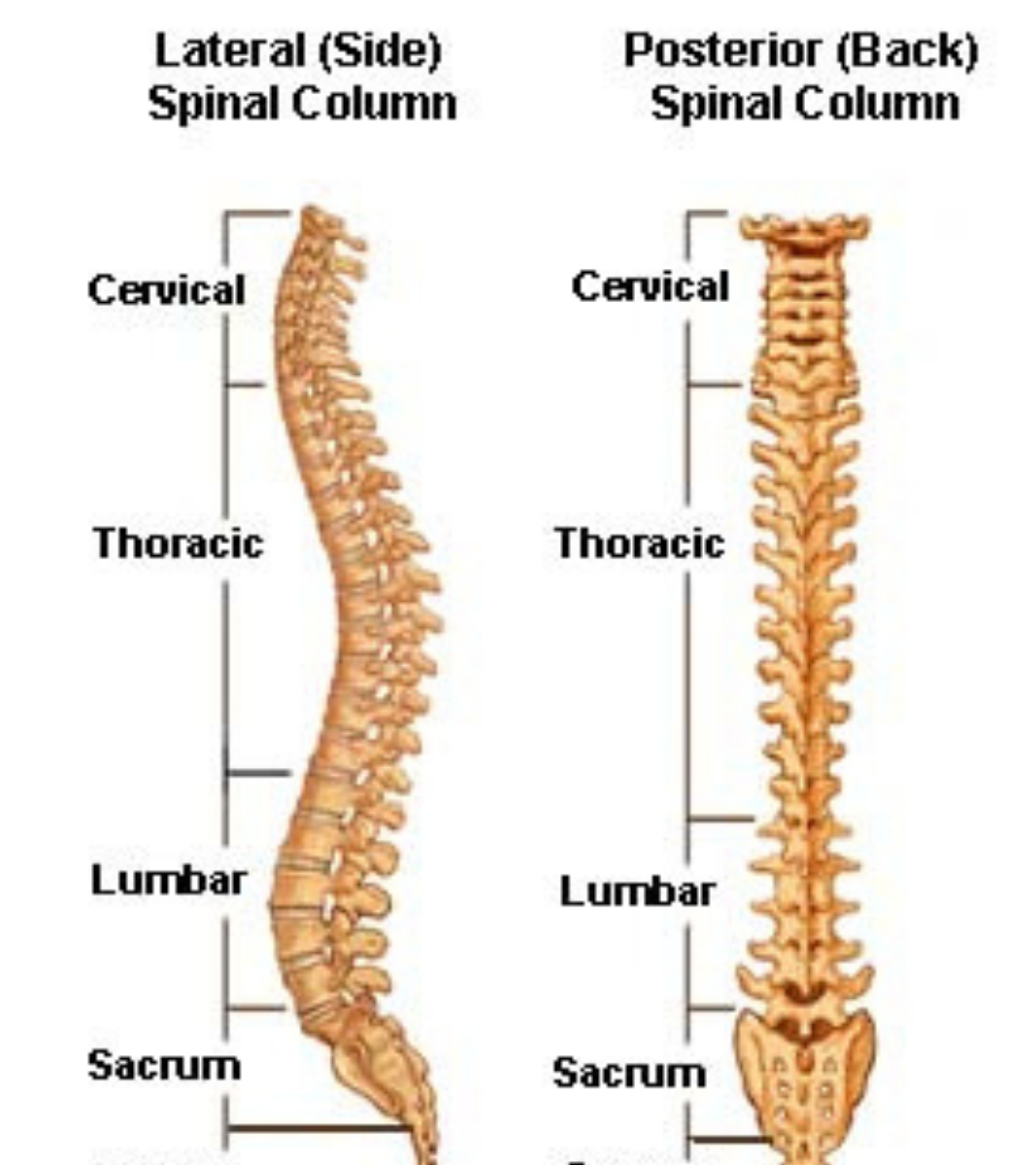 spinal deformities, orthopaedic surgeons in kenya,spinal deformities treatment in kenya,spinal deformities specialist in kenya nairobi spine orthopaedic centre